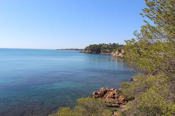 Casita De Pescadores Con Vista Al Puerto Apartment Л'Аметла де Мар Екстериор снимка